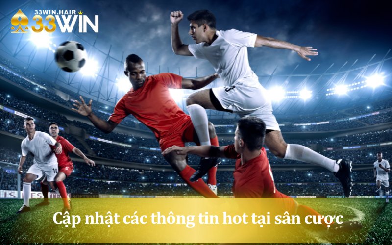 Cược thủ thường xuyên cập nhật các thông tin hot tại sân cược