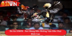 Đá Gà 33WIN - Nơi Mang Đến Những Trận Đấu Chọi Đỉnh Cao