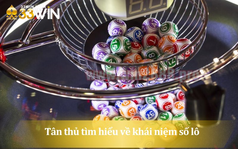 Tân thủ tìm hiểu về khái niệm số lô