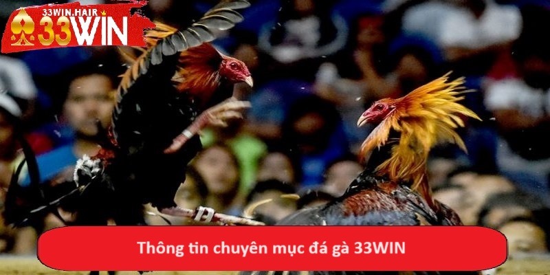 Thông tin chuyên mục đá gà 33WIN