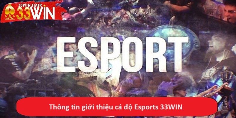 Thông tin giới thiệu cá độ Esports 33WIN