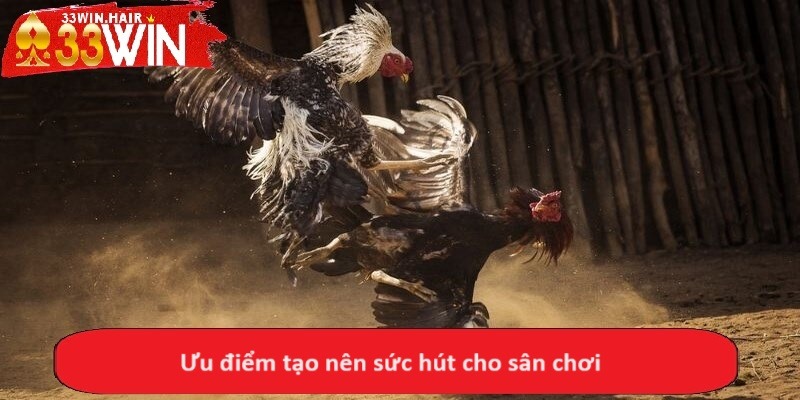 Ưu điểm tạo nên sức hút cho sân chơi