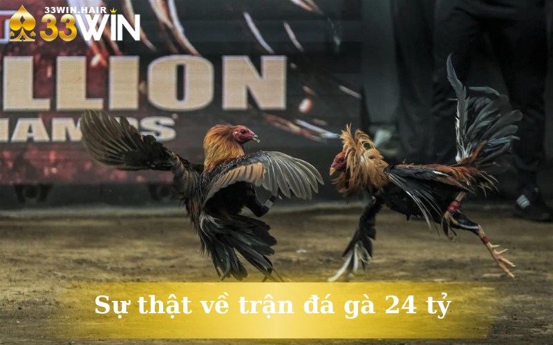 Sự thật về trận đá gà 24 tỷ 